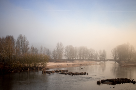 BROUILLARD SUR LA LOIRE