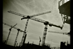 Grues parisienne