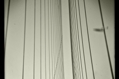 Pont
