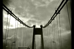 Pont