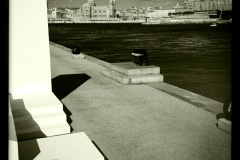 Les terrasses de Kader Attia.