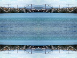 sea-grues