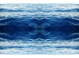 sea-moise