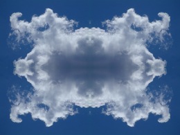 sky-twin-spider