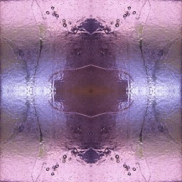pate-rose-bug