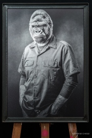 08-MAJORDOME Tooligans-Stephane-Chassignole